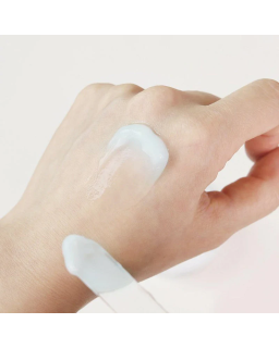 TORRIDEN Dive In  Low Molecular Hyaluronic Acid Soothing Cream, 20ml