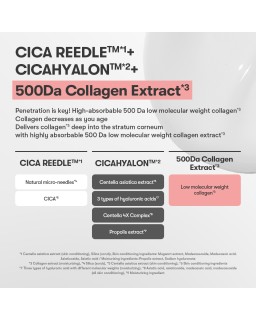 VT Collagen Reedle Shot 100 is an elasticity-intensive starter product containing collagen that creates a firm, elastic foundati