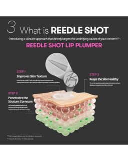 Perfect your pout with the latest addition beginner-friendly to VT’s Reedle Shot line, a glossy lip plumper  to moisturize and
