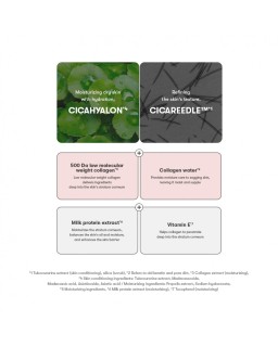 Revitalize skin with this booster formulated with VT’s patented ingredients CICAHYALON™ and CICA REEDLE™ to achieve a supple