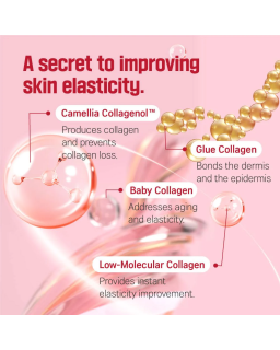 The Camellia Deep Collagen Firming Ampoule deeply nourishes and firms the skin with a powerful blend of camellia flower extract