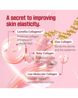 Restore elasticity and radiance with Round Lab's Camellia Deep Collagen Firming Cream