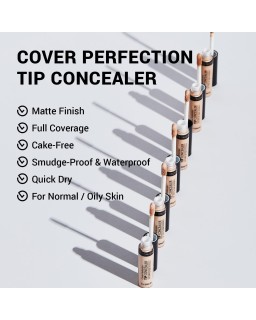 THE SAEM Cover Perfection Tip Concealer, 6.5g, 1.75 Middle Beige