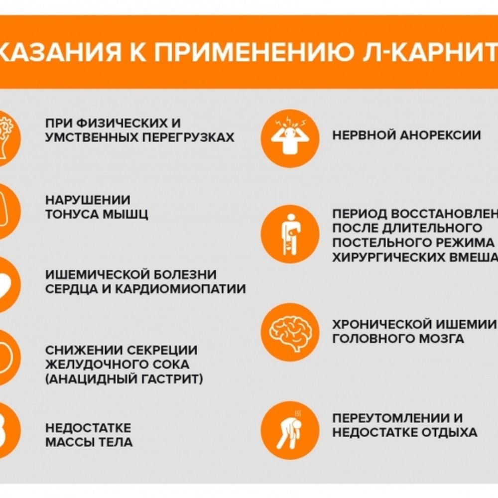 DHC Carnitine Tablet, 60 days — изображение 4