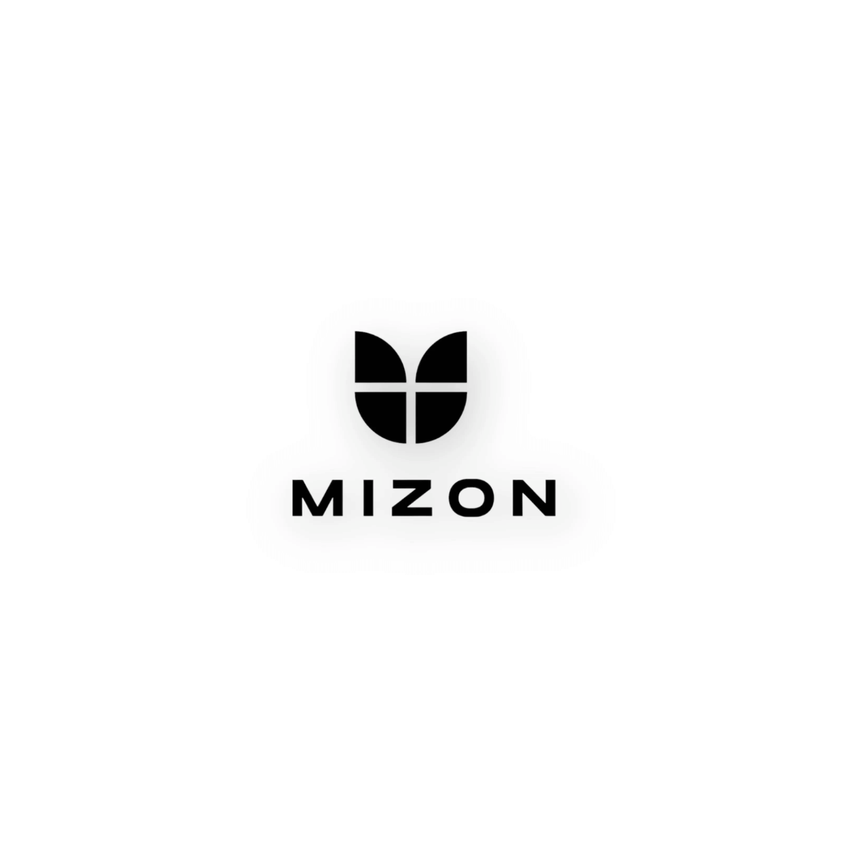 MIZON