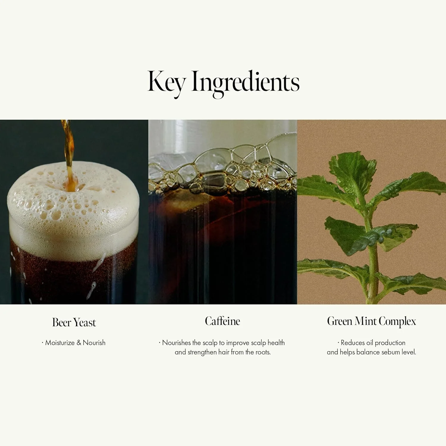 ANILLO Dark Beer Biome Shampoo, 500ml - Imagen 4