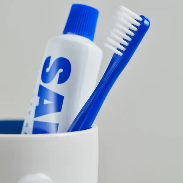 Saltrain Dental Travel Kit, Blue Edition - Image 3